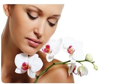 Parfüm, kozmetika kategória